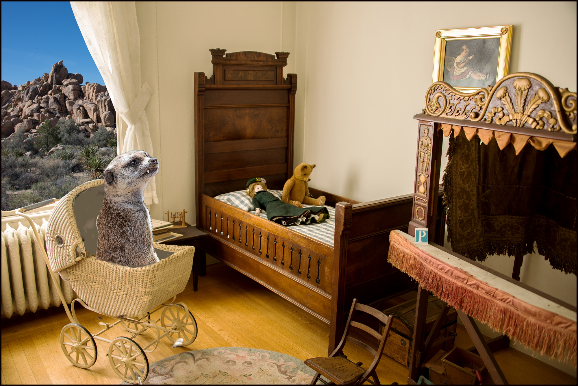 Meerkat's Nursery