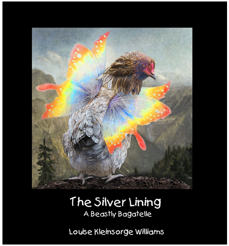 Book - The Silver Lining